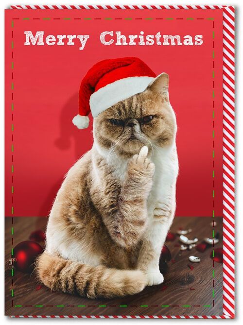 Rude Christmas Card - Merry Christmas Cat Finger