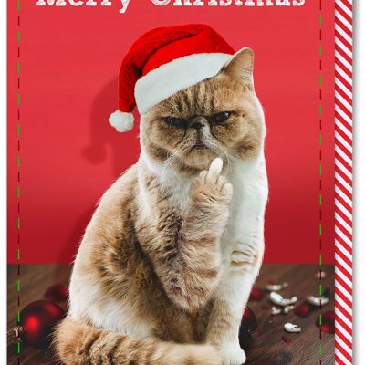Cartolina di Natale scortese - Dito di gatto di buon Natale
