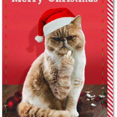 Rude Christmas Card - Merry Christmas Cat Finger