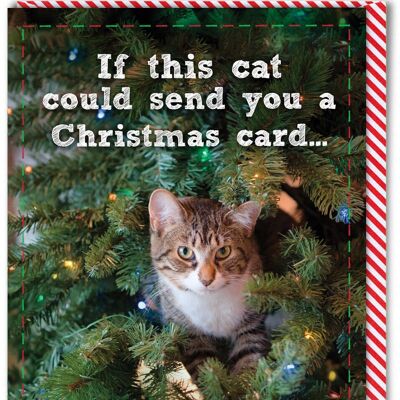 Tarjeta de Navidad divertida: si este gato pudiera enviar una tarjeta de Navidad