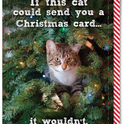 Tarjeta de Navidad divertida: si este gato pudiera enviar una tarjeta de Navidad
