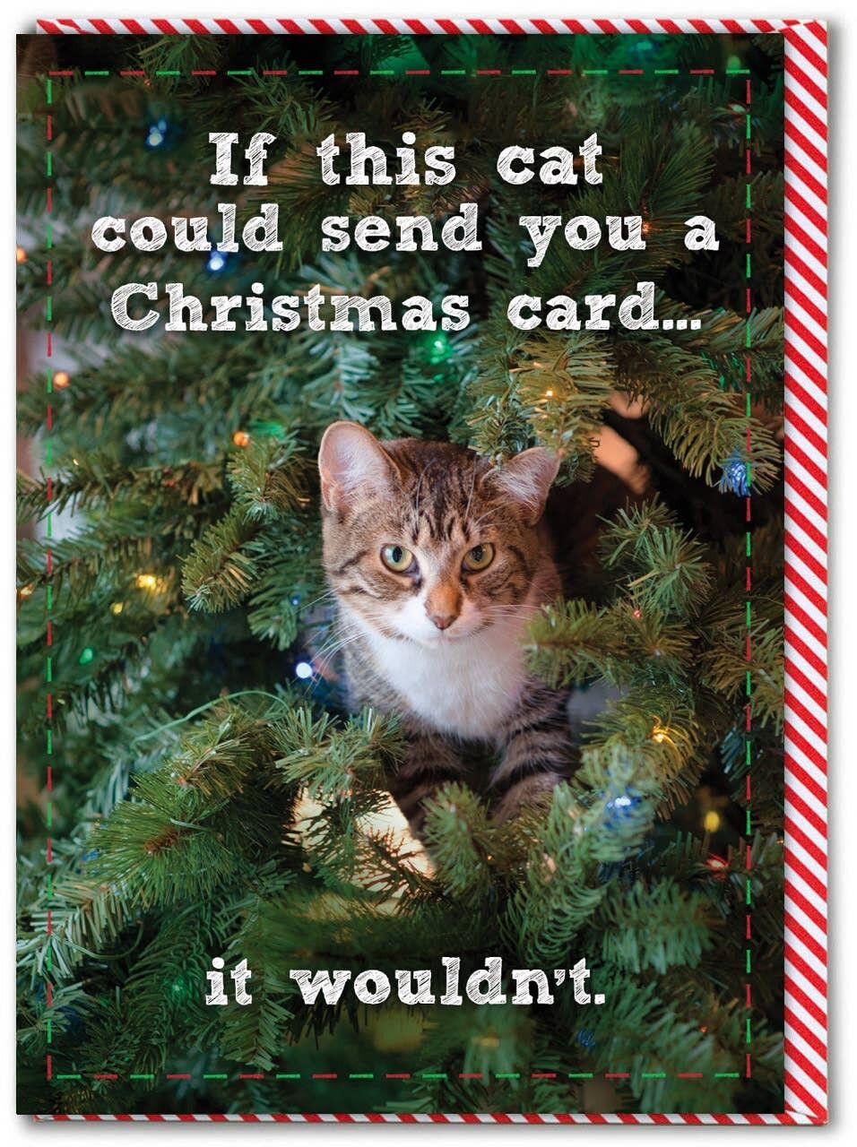 Carte de Noël amusante – Si ce chat pouvait envoyer une carte de Noël