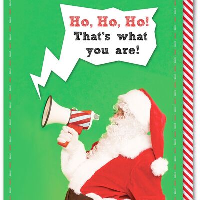 Funny Christmas Card - Ho Ho Ho... That's What You Are