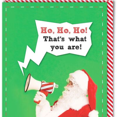 Funny Christmas Card - Ho Ho Ho... That's What You Are