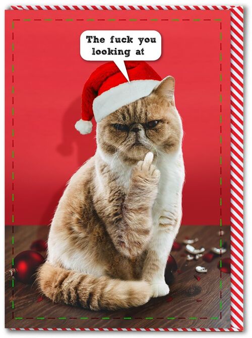 Rude Christmas Card - The Fuck You Lookin At