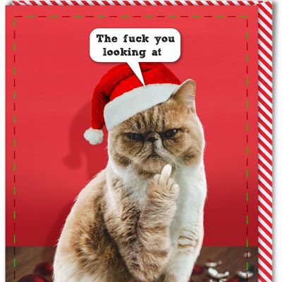 Cartolina di Natale scortese - Che cazzo stai guardando