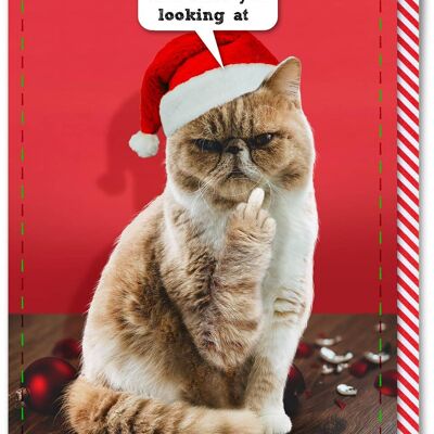 Tarjeta de Navidad grosera - La mierda que estás mirando