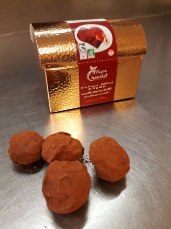 Truffe au praliné noisette BIO(sans lait, sans crème) 2