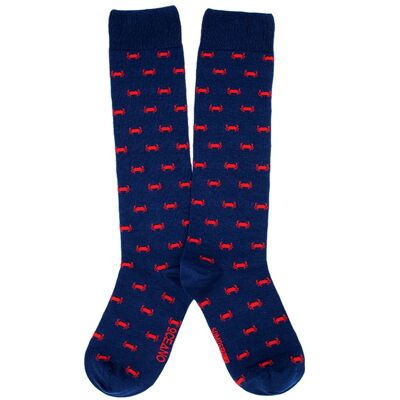 Long socks Nécoras navy blue