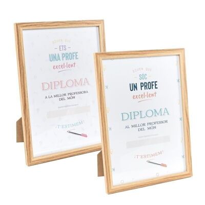 DIPLOMA PROFE CATALA 2M HH2597559