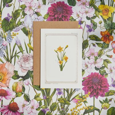 Daffodil - 'The Botanist Archive : Everyday Edition' - Card