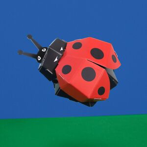 Créez votre propre jolie coccinelle