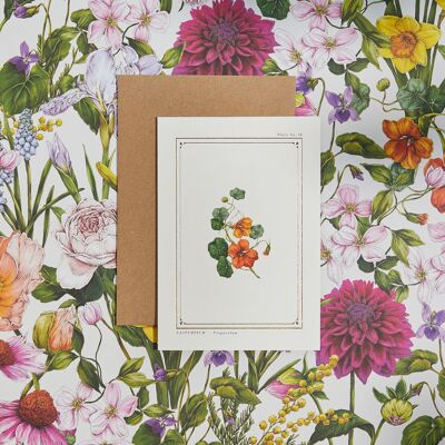 Nasturtium - 'The Botanist Archive : Everyday Edition' - Card