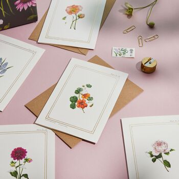 Capucine - 'The Botanist Archive : Everyday Edition' - Carte 2