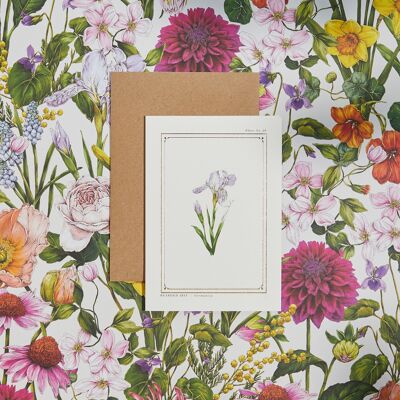 Iris barbudo - 'The Botanist Archive: Everyday Edition' - Tarjeta