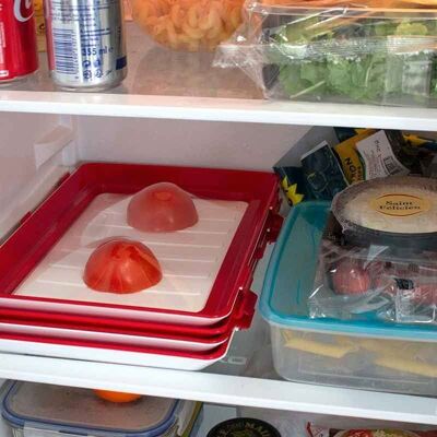 Clever Tray - Food storage tray