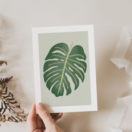 Postkarte Monstera Pflanze - Tropische Zimmerpflanze Grußkarte