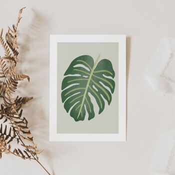 Carte postale Monstera Plant - Plante d'intérieur tropicale Carte de vœux 3