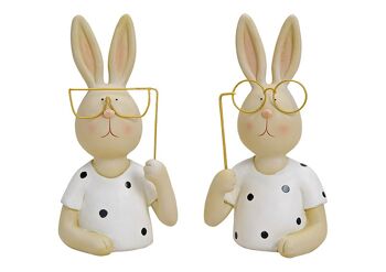 Lapin avec des lunettes en métal en poly blanc double
