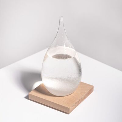 Storm glass - Weather prediction - L'expressionist
