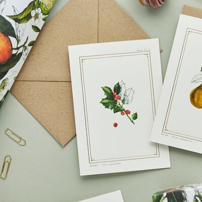 Holly - L'Archivio Botanico: Edizione Festiva - Cartolina di Natale
