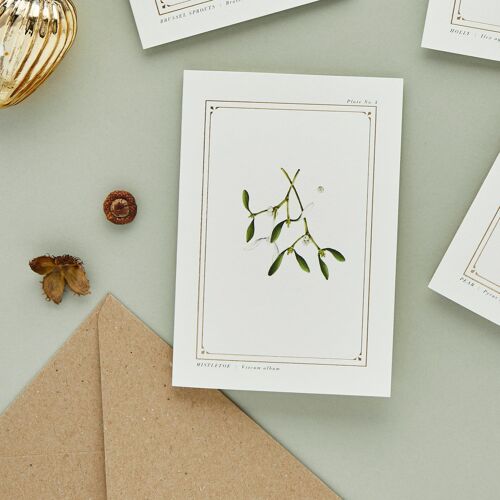 Mistletoe - The Botanist Archive: Festive Edition - Christmas Card