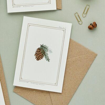 Abeto Douglas - The Botanist Archive: Festive Edition - Tarjeta de Navidad