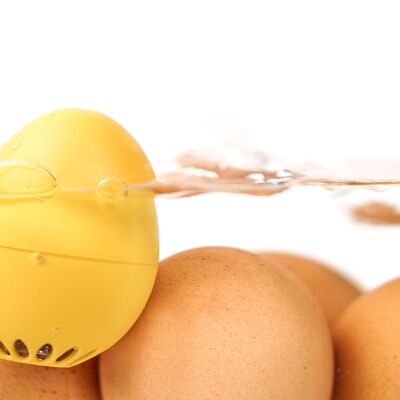 PiepEi Detlef / timer per uova intelligente