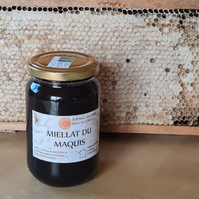 miel de miellats du maquis miel AOP MELE DI CORSICA pot de 250gf