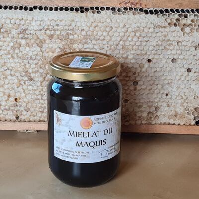 miele di melata di macchia miele AOP mele di corsica vasetto da 500g