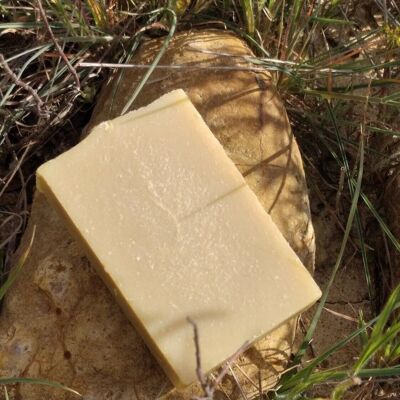 castagna soap