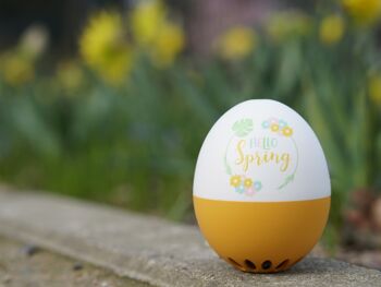 Spring Beep Egg - orange / sablier intelligent 1