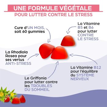 Complément alimentaire - GUUMIES - Emozen - vendu par 15 4