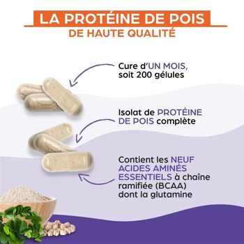 Complément alimentaire - GÉLULES - Récupamine - vendu par 24 4