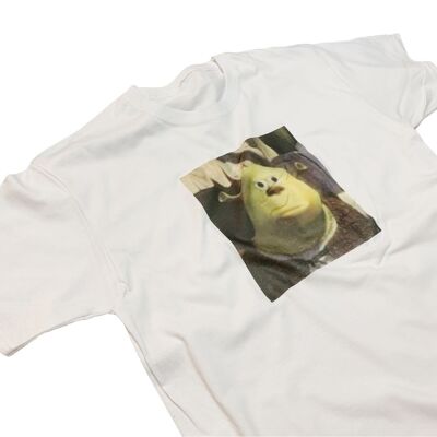 Funny Confused Shrek Meme T-Shirt Classic Meme