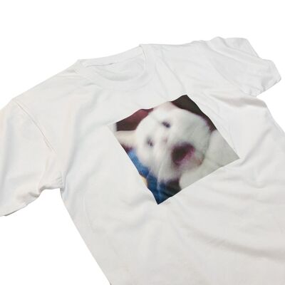 Erschrockenes Katzen-Meme-T-Shirt Lustiges schreiendes Katzen-Meme