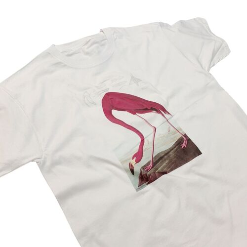 Audubon American Flamingo T-Shirt Pink Vibrant Print