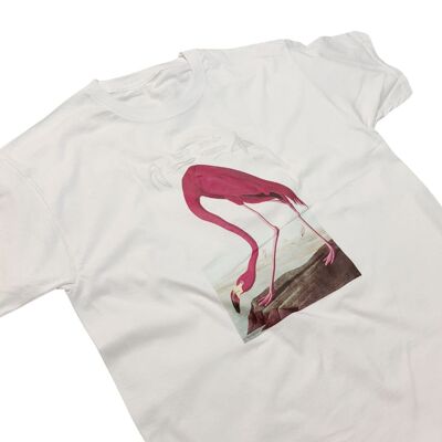 Camiseta Audubon American Flamingo Rosa Estampado vibrante