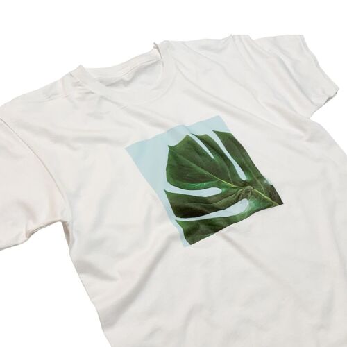 House Plant Minimalist T-Shirt Monstera Leaf