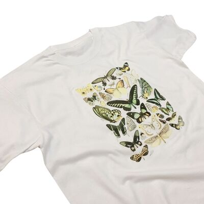 Adolphe Millot Farfalla T-Shirt Storia Naturale