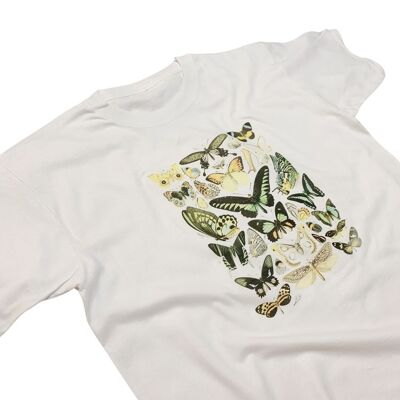 Adolphe Millot T-Shirt Papillon Histoire Naturelle