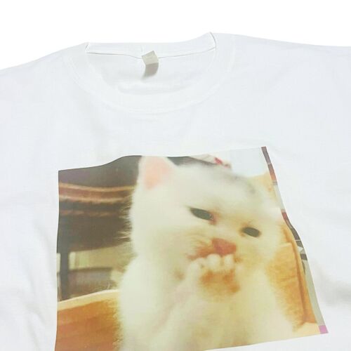 Cute Cat T-Shirt Meme Funny Top