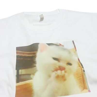 T-shirt con gatti carini e meme. Top divertente