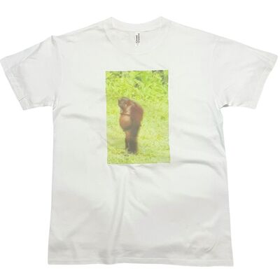 T-shirt pensiero scimmia Orangutang Stampa divertente meme scimmia