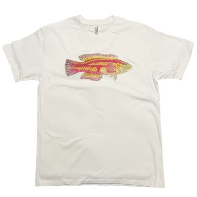 Maglietta con pesce del Pacifico del Sud di Frank Edward Clark