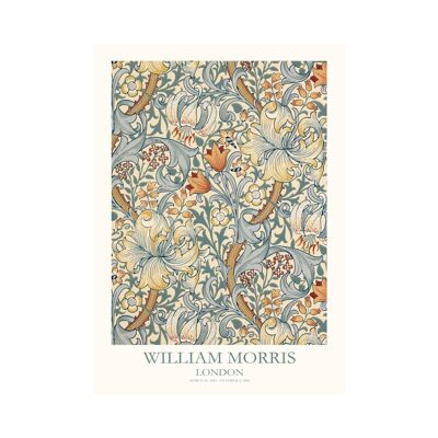 Poster William Morris Goldene Lilie