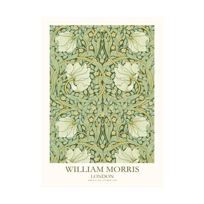 Poster William Morris primula rossa