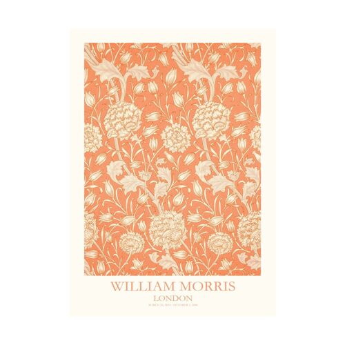 Poster William Morris Wild tulip