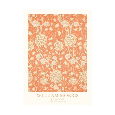 Affiche William Morris Tulipe sauvage
