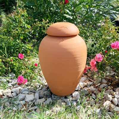 Irrigazione Ollas ORIGIN - 9 L